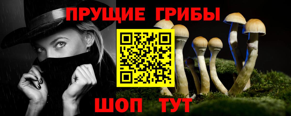 Джанкой  Псилоцибиновые грибы Magic Shrooms  Вход с VPN 